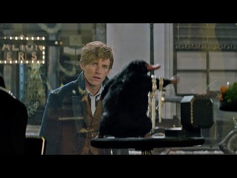 Animales fantásticos: Escena del escarbato (Joyería) [Latino]