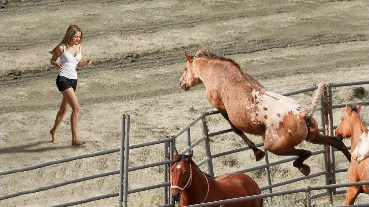 Animals Reunited With Owners After Years !