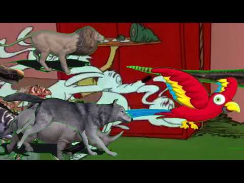 Animals Stampede A Fox Add Round 1