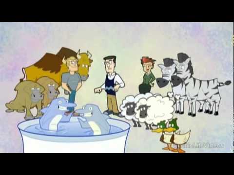 animals.avi