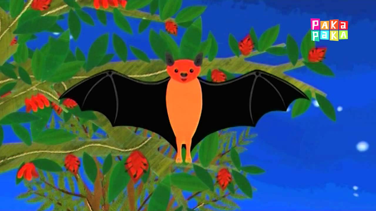 Animapaka II: Murciélago (Cap. 5) - Canal Pakapaka