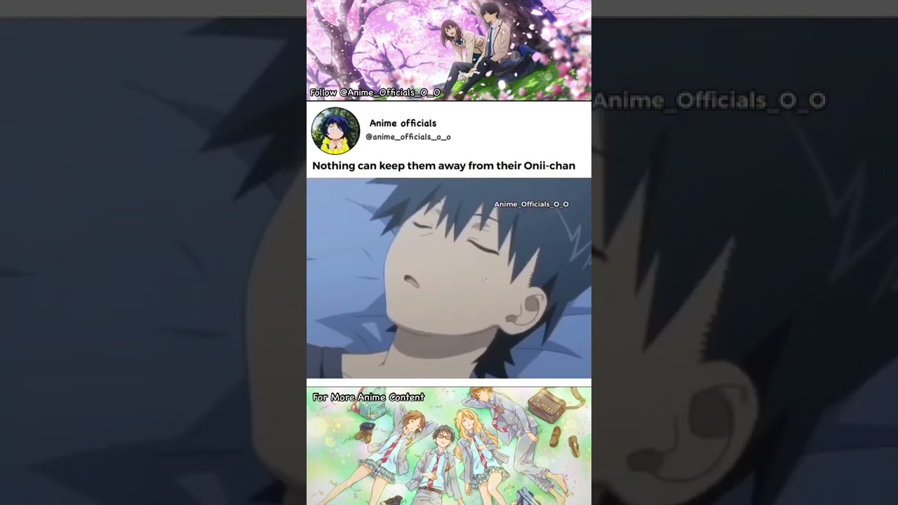Anime : kiss x sis