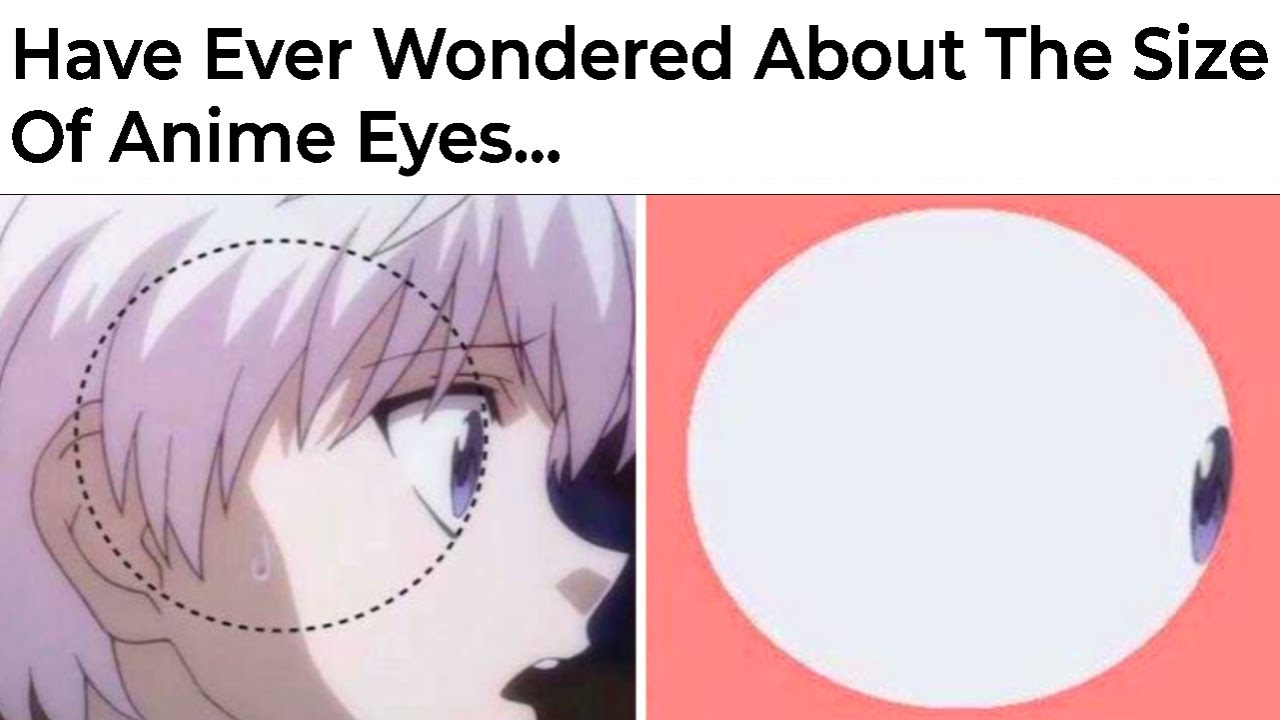 Anime Memes