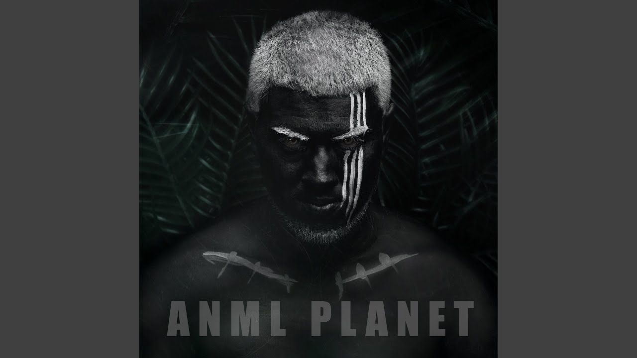 Anml Planet