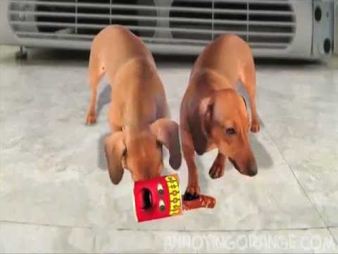 Annoying Orange Death-Puppies Attack-Chilli Can