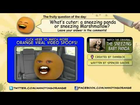 annoying orange Sneezing Marshmallow