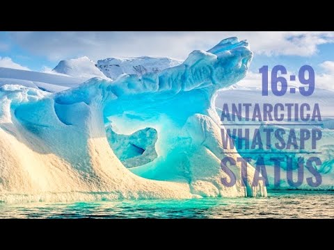 Antarctica Whatsapp Status