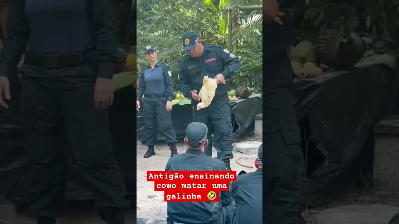 Antigão ensina como matar galinha na aula de sobrevivência 🤣☠️