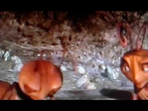 Antz water scene in Reverse