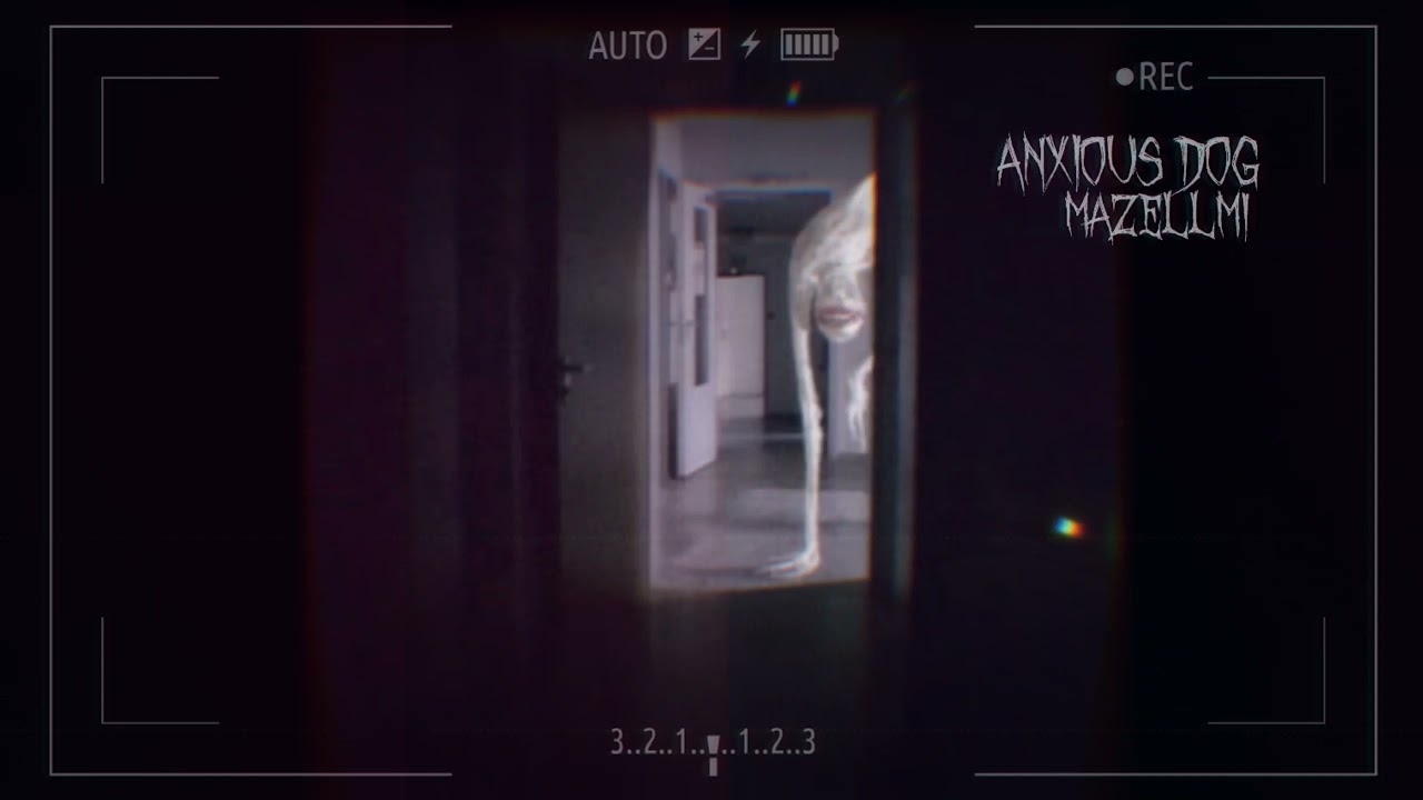 Anxious dog sounds
