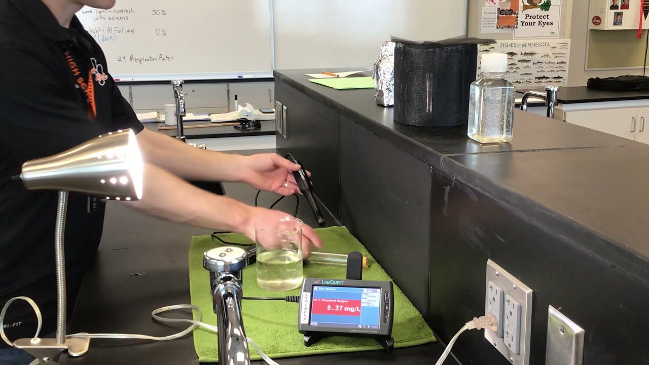 AP Bio Primary Productivity Lab 1