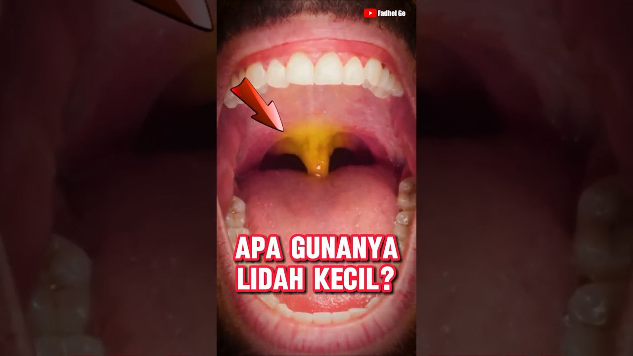 APA GUNANYA LIDAH KECIL?