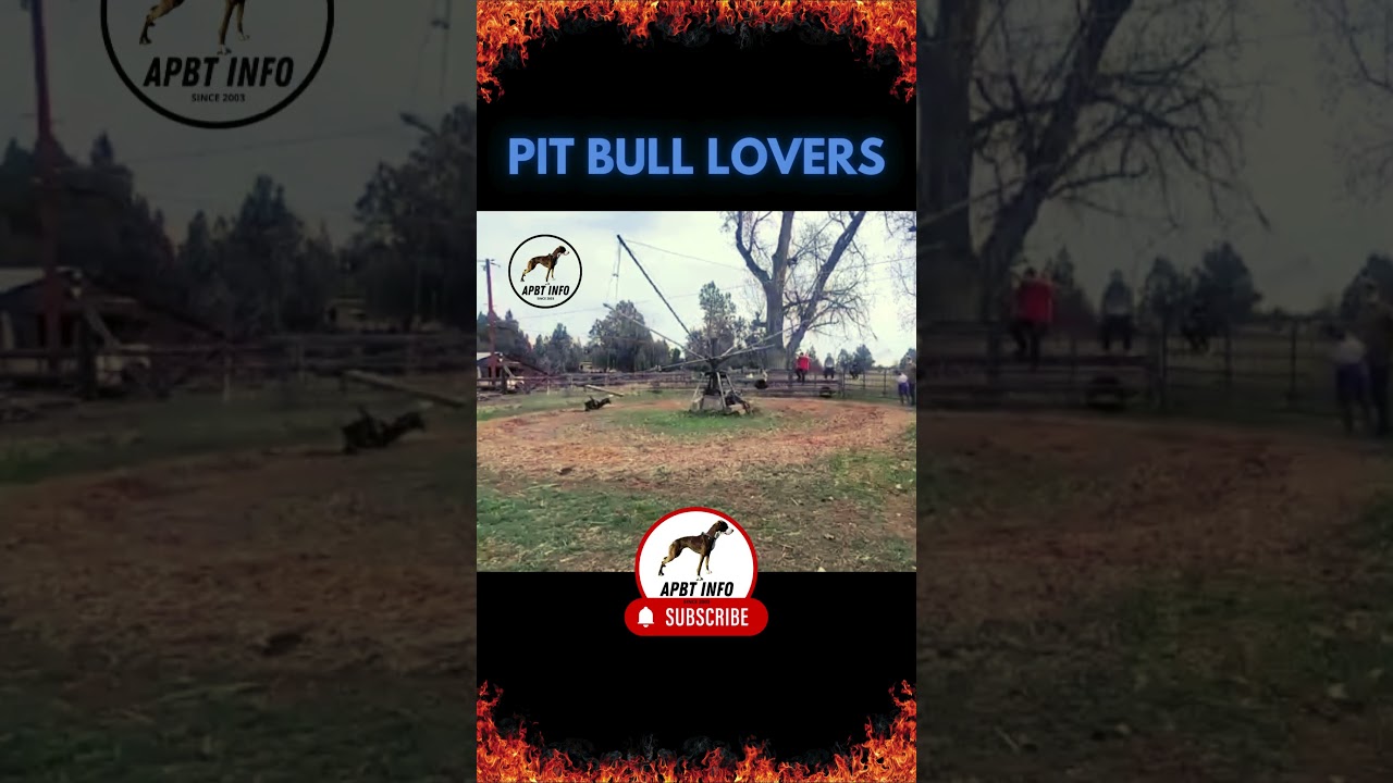 APBT CAT MILL on APBT INFO CHANNEL
