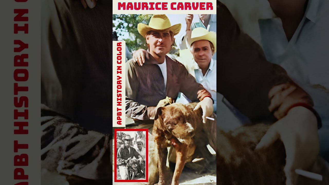 APBT HISTORY IN COLOR 💥 BREEDERS GAMEDOG HISTORY