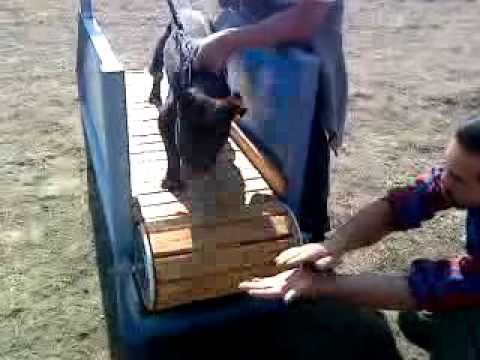 APBT MEXICO SOMBRA