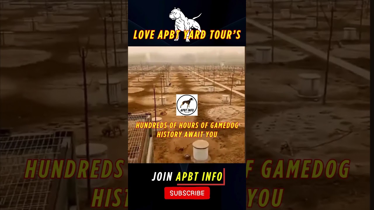 APBT YARD TOUR'S & GAMEDOG KENNEL'S
