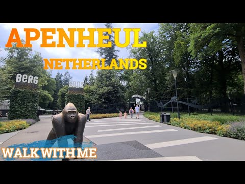 APELDOORN MONKEY PARK  ~ APENHEUL ~ THE NETHERLANDS #apenheul #monkeypark #apeldoorn