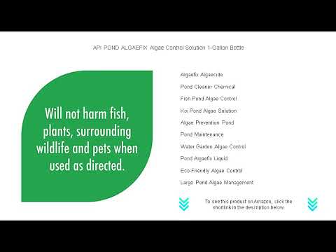 API POND ALGAEFIX Algae Control Solution 1-Gallon Bottle