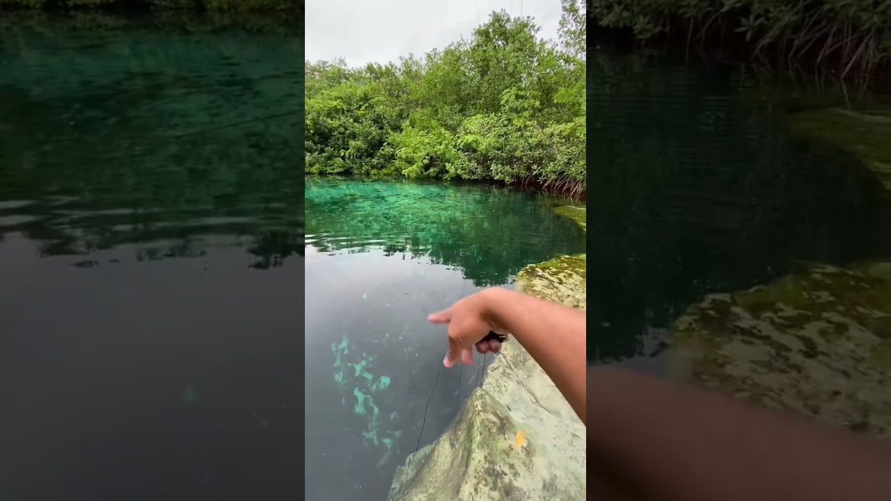 Aquí hay un COCODRILO 🐊😱 //cenote manatí // adunadjtv // tulum 🌿
