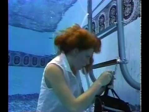 Aquafans - Corporate Spy