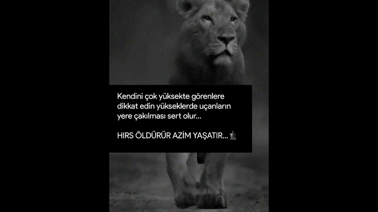 Ağır Abi Sözler...