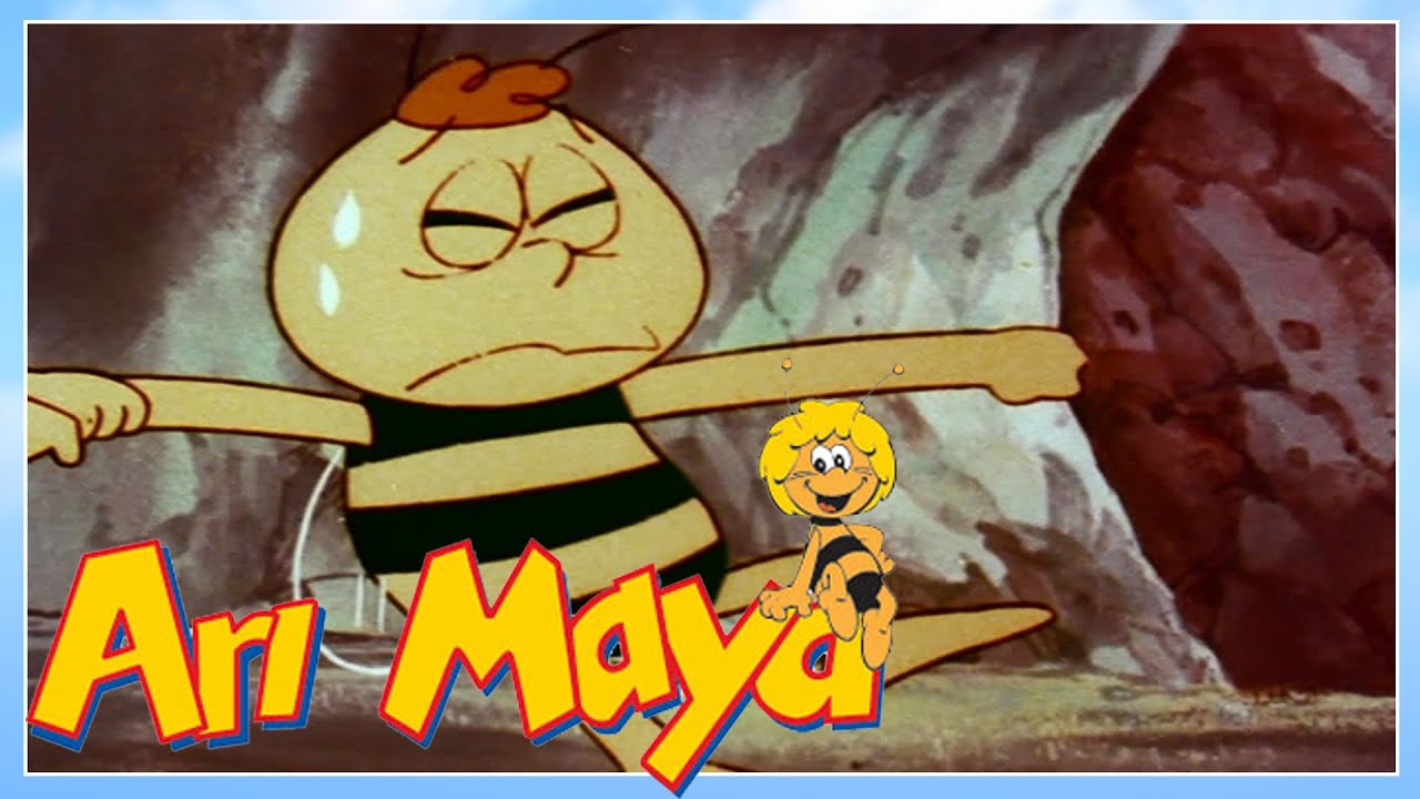 Arı Maya bölüm 12