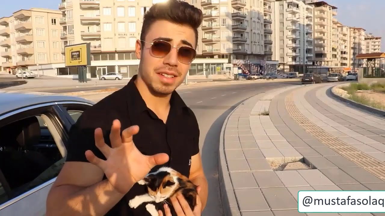 Araba Süren Racon Kesen Kedim Mırracan #4