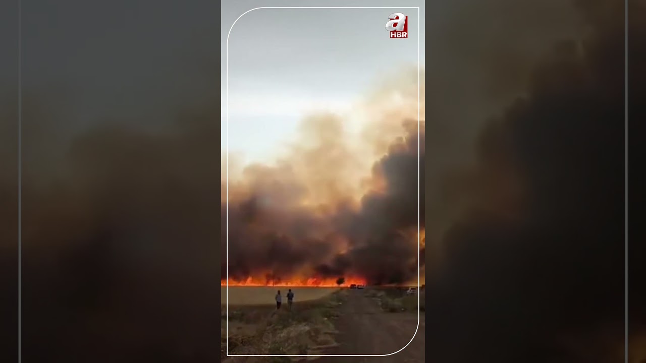 Araban Ovası'nda 8 Ayrı Noktada 2 Bin Dönüm Ekili Alan Yandı #shorts