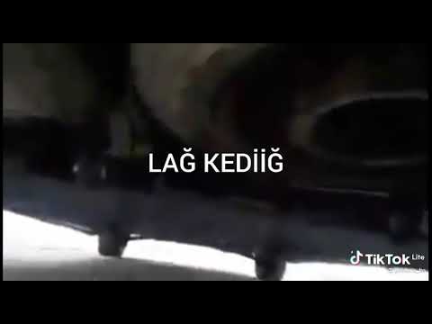 Arabanın Altına kedi girmiş hayret bir şey ya !