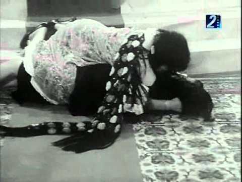 Arabic Catfight