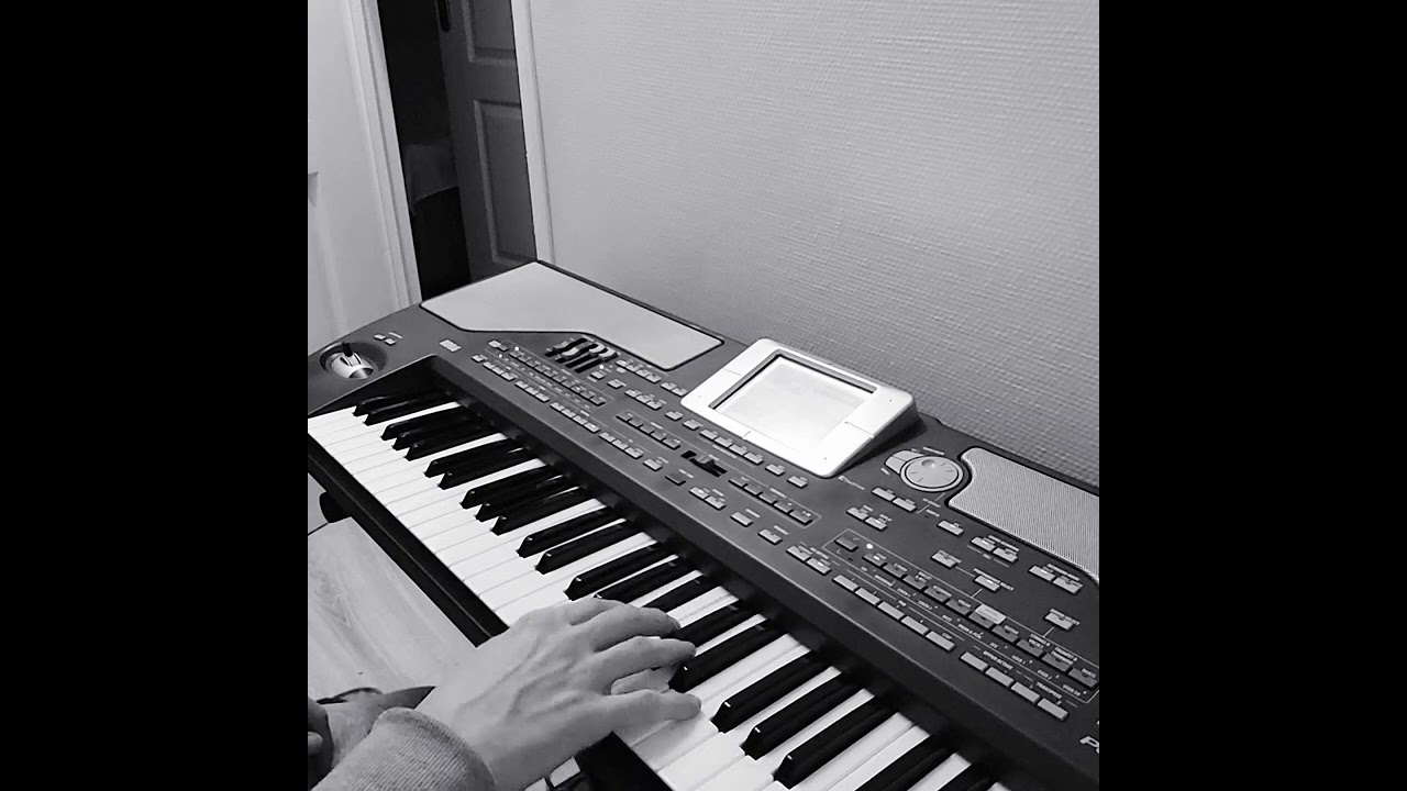 Aramam. ibrahim tatlises. pa800 korg piyanist taner temiz performans turkish music