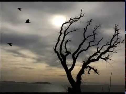 Arapça Müziksiz Nasheed (Süper Parça)