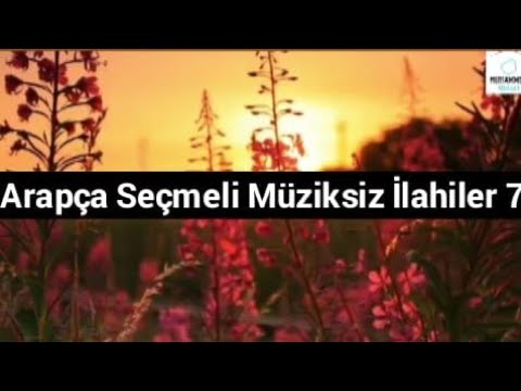 Arapça seçmeli müziksiz ilahiler 5