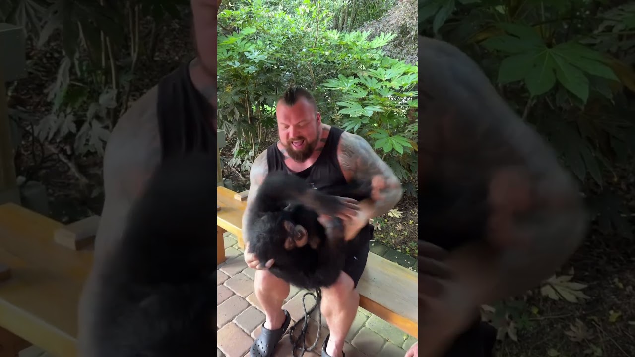 ARE CHIMPS TICKLISH? | Eddie Hall