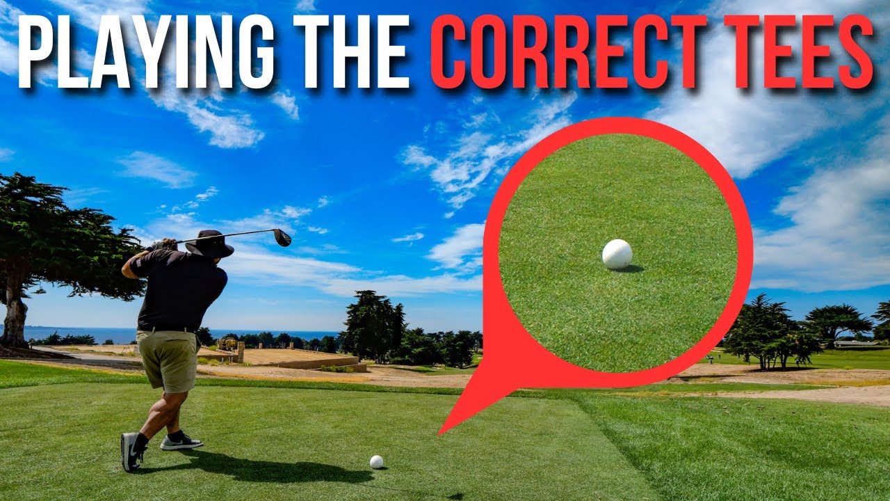 Are You Playing From The Correct Tees? - (Black Horse) 18 Hole by Hole Revenge Round