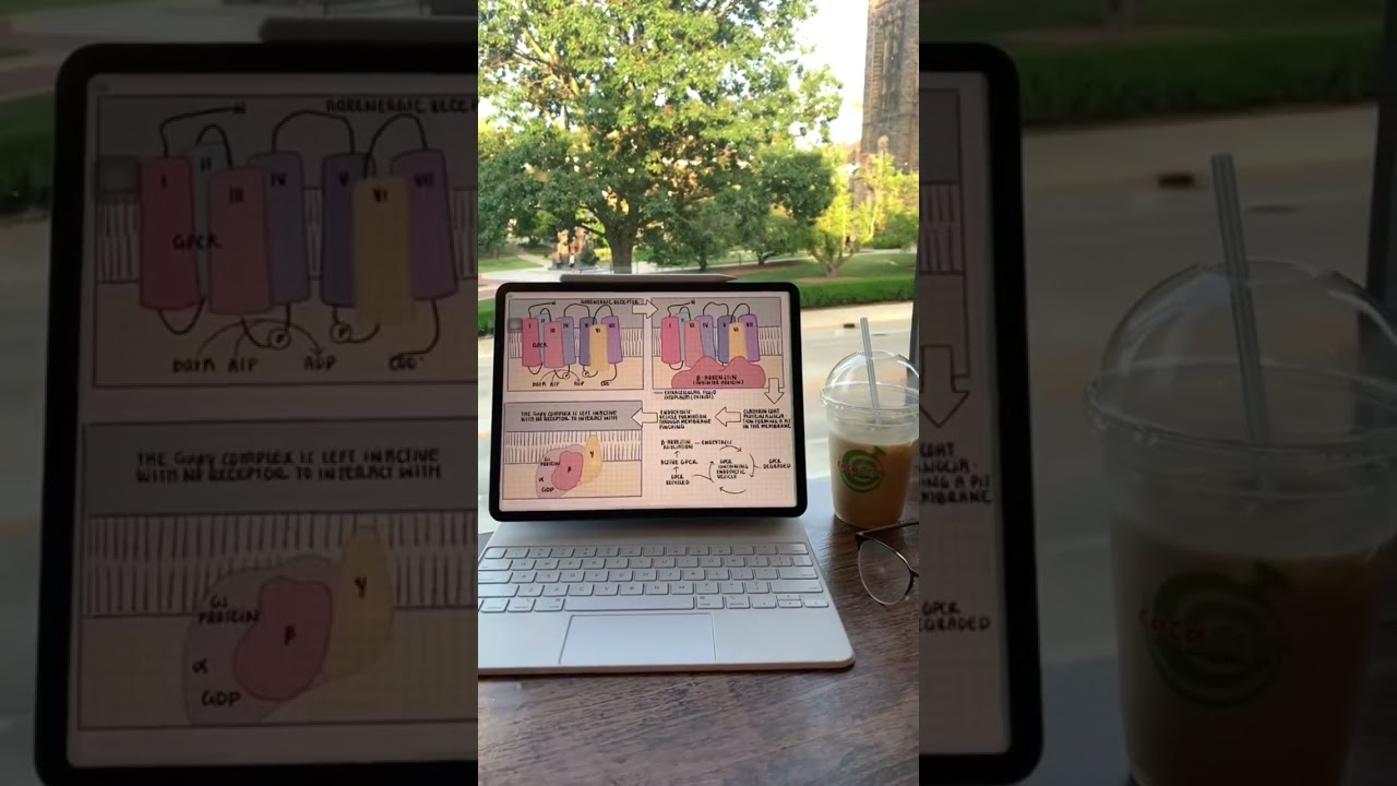 Are you taking a Biochemistry, or Chemistry course this semester? #stemeducation #stem #edushorts