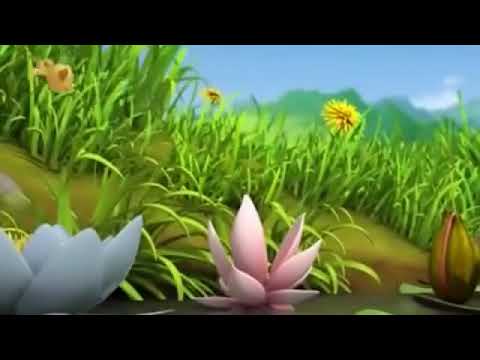 ARI MAYA- Obur Kurbağalar