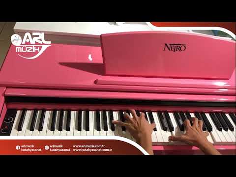 ARL Müzik Neiro NDP-85 Piyano