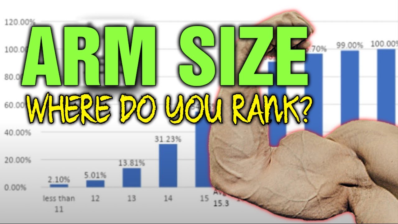 Arm Size || Where Do You Rank? How Big Are Your Arms vs My Subscribers