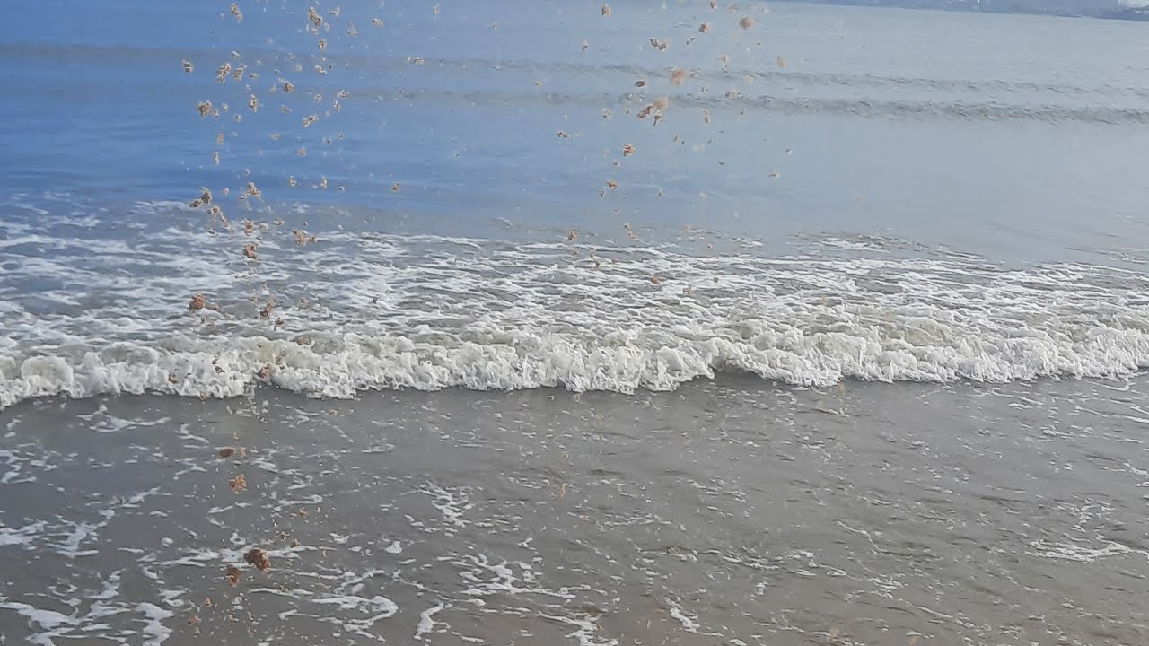 Arrume-se comigo para ir para a praia meu tiktok é @euamominhafamilia2123, meu insta é @Iamaline2011