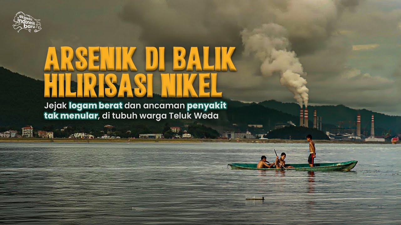 ARSENIK DI BALIK HILIRISASI NIKEL - Temuan jejak logam berat, di tubuh warga Teluk Weda