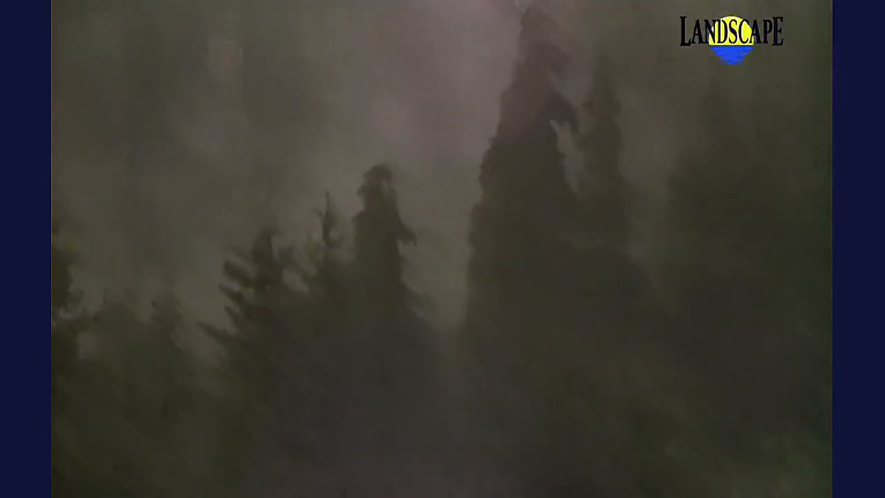 Art of Landscape - 14