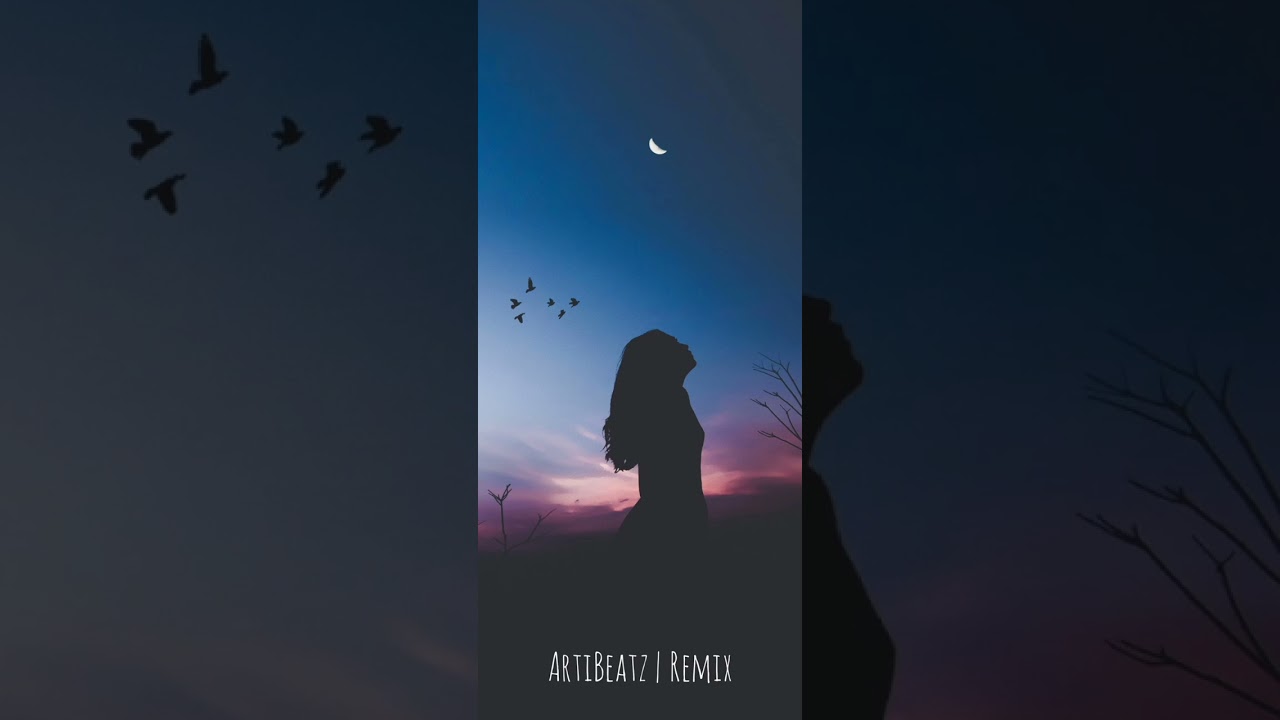 ArtiBeatz x Pandora - Kallma Zemren #speedup #tiktok #tiktokviral #albanian #remix