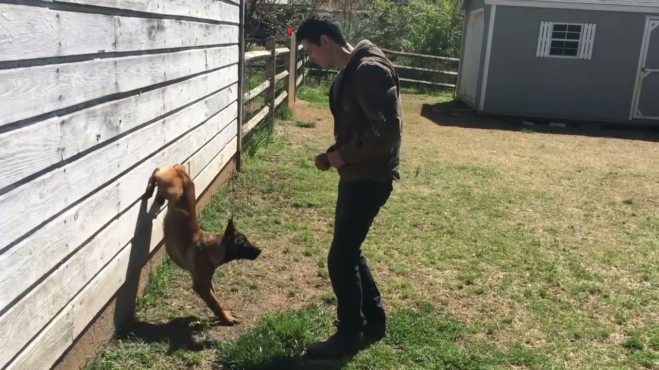 Arya Twerking