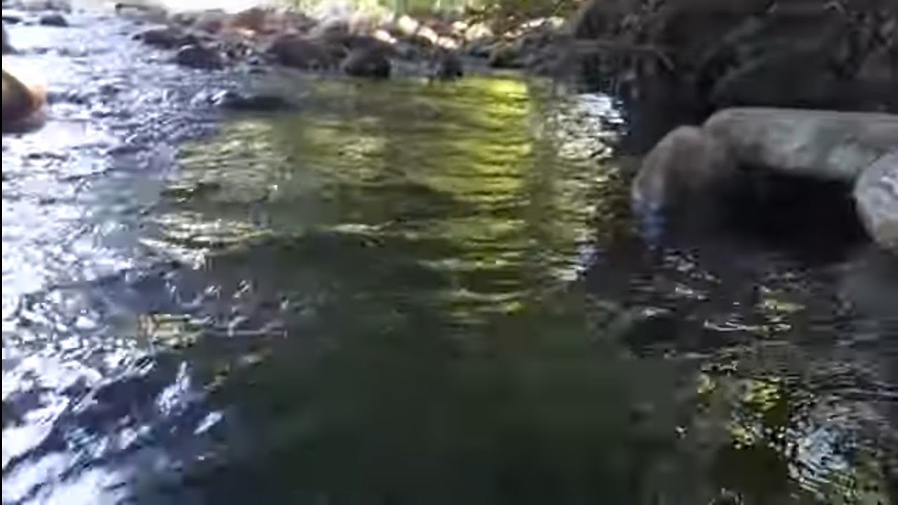 así luce