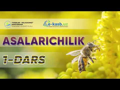 Asalarichilik 1-dars, Asalarichilik darsarini biz bilan bepul o'rganing.