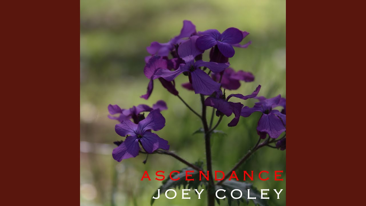 Ascendance