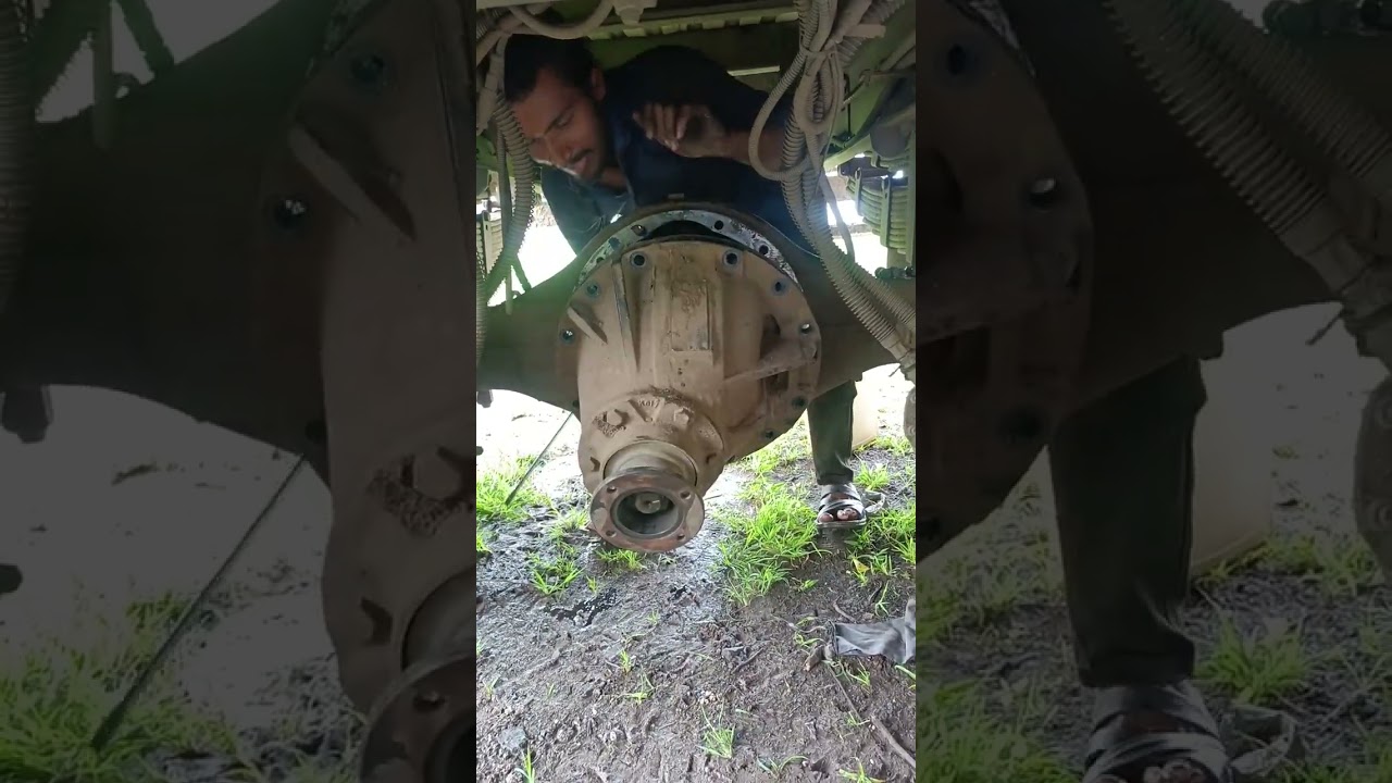Ashok Leyland differential change