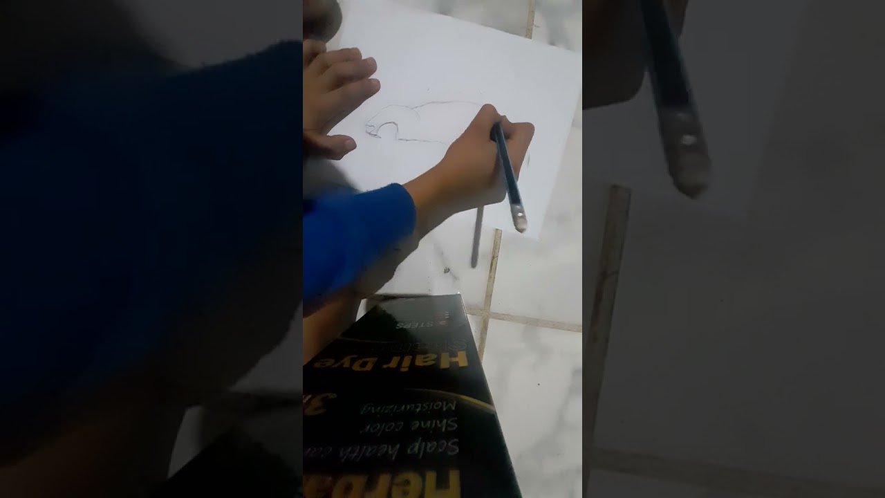 asiendo  un. lanborzini