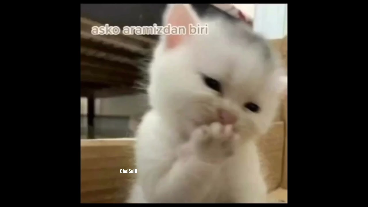 askooyuum #blackpink #blinkblackpink #keşfet